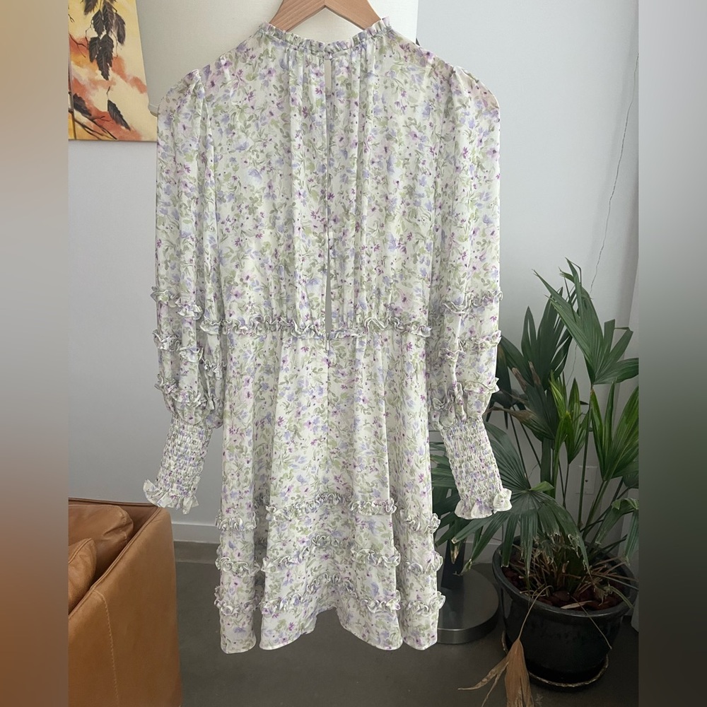 Ever New Rae Ruffled Mini Dress - Picture 5 of 6